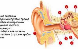 Почему развивается двухсторонний отит у ребенка и как его лечить