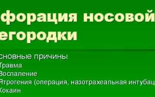 Перфорация носовой перегородки как обнаружить проблему и избавиться от нее