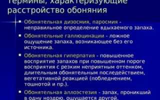 Обостренное обоняние причины и лечение