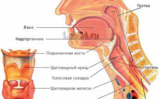 Заболевания гортани