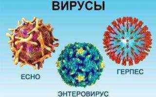 Симптомы энтеровирусного фарингита