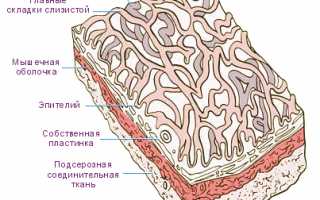 Уплотнение или утолщение стенок желчного пузыря