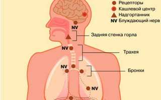 Приступы кашля у ребёнка причины и способы устранения