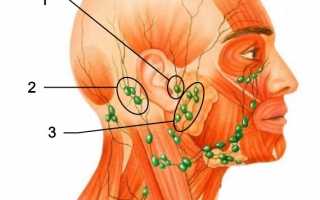 Причины и лечение воспаления лимфоузлов за ухом