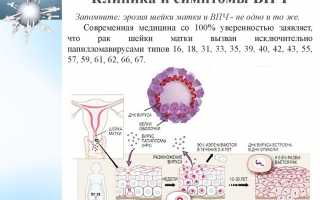 Что такое вирус папилломы 39 типа и как его лечить?