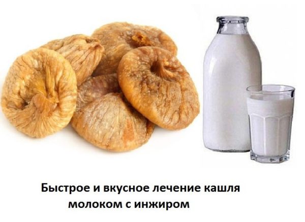 Инжир с молоком от кашля