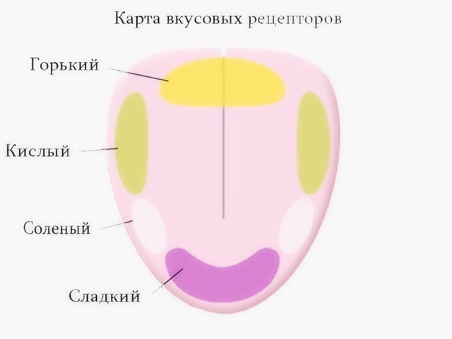 Как восстановить вкусовые рецепторы