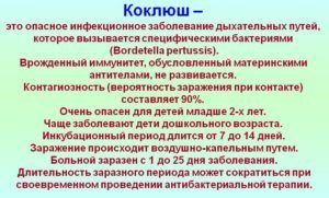 Сироп подорожника от кашля