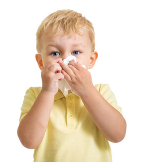 Болячки в носу у ребенка, чем лечить и как