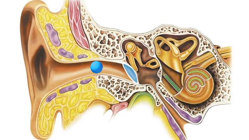 Почему возникает ощущение движения в ухе