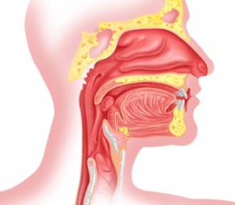 Как лечить дисфонию и афонию