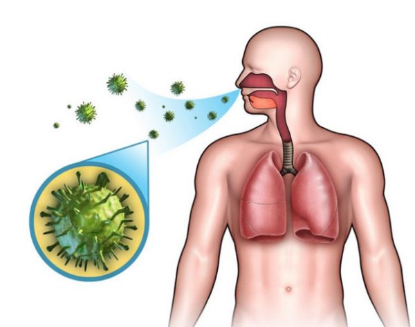Стафилококк в носу и горле лечение, препараты. Симптомы заражения