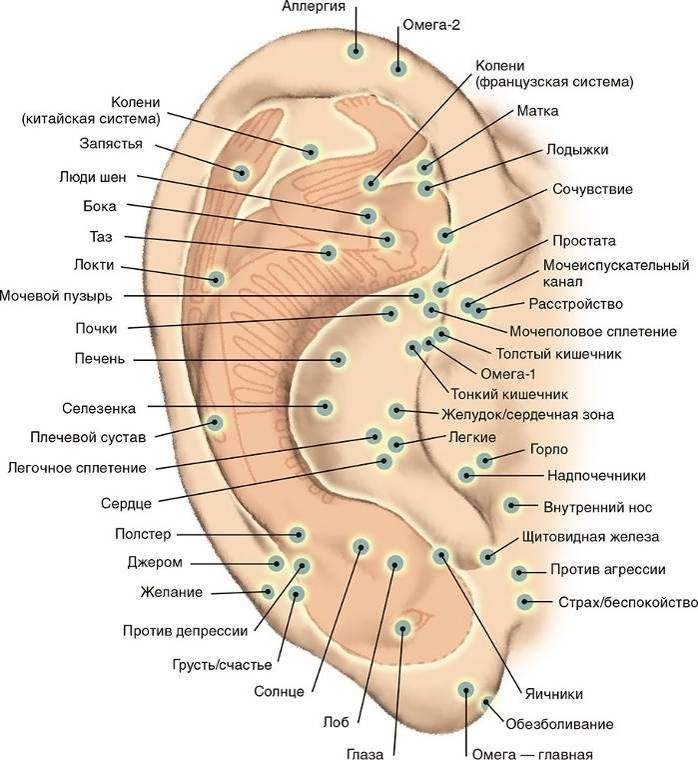 Похудение при помощи акупунктуры