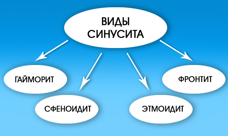 Как победить неприятный запах в носу