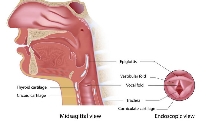 Заболевания гортани
