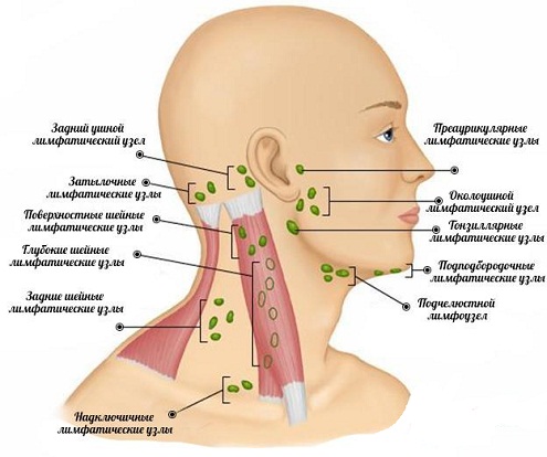 Почему возникает и как лечить воспаление лимфоузлов за ухом