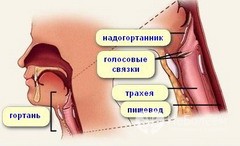 Заболевания гортани