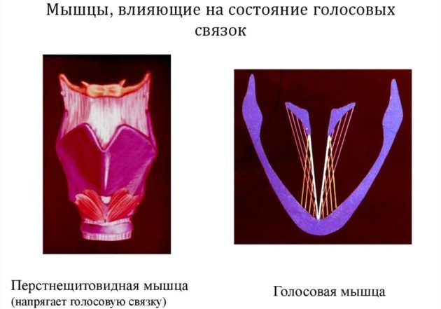 Заболевания гортани