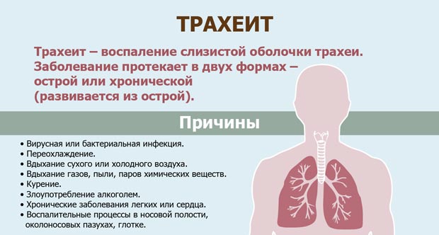 Как и с чем делать ингаляции при трахеите в домашних условиях