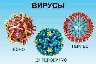 Симптомы энтеровирусного фарингита