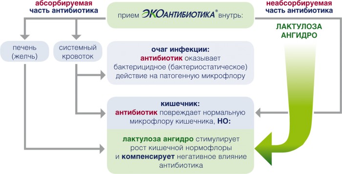 Действие экоантибиотиков