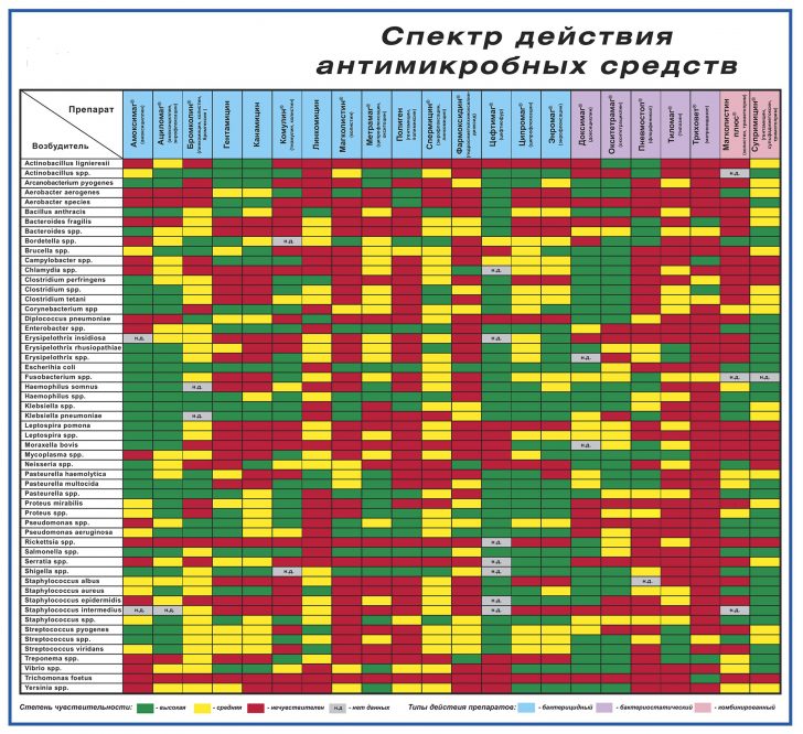 Список антибиотиков местного применения для лечения горла