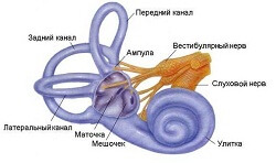 Симптомы воспаления внутреннего уха