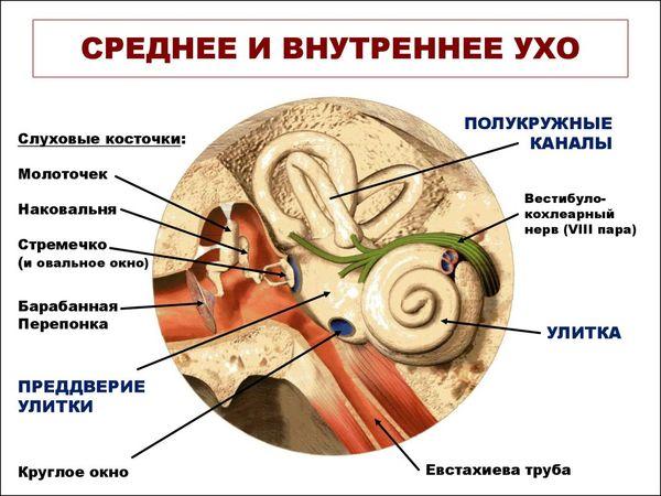 Симптомы воспаления внутреннего уха