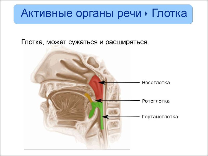 Воспаление носоглотки чем лечить в домашних условиях