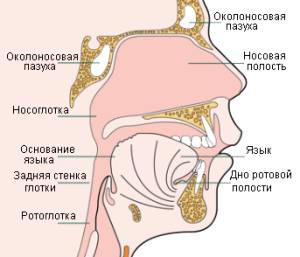 Рак носоглотки симптомы