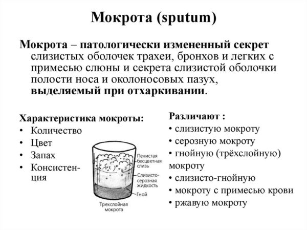 Как лечить кашель со рвотой у взрослого