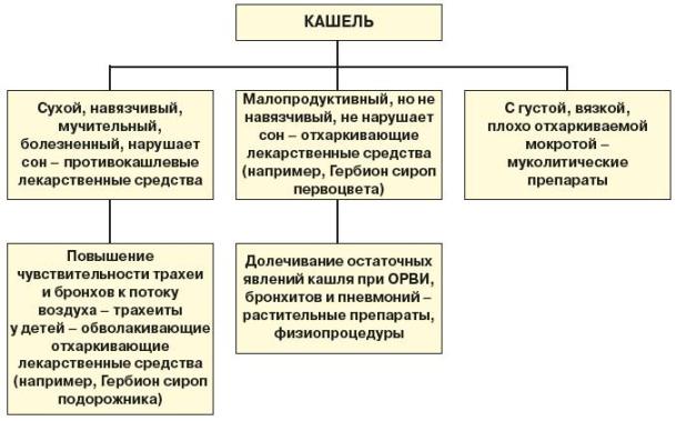 Список эффективных рецептов алоэ с медом от кашля