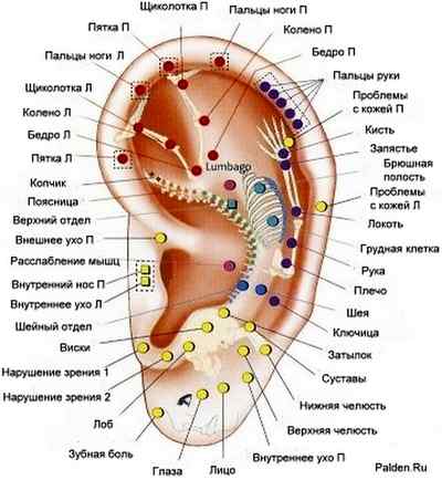 Снижение веса с использованием акупунктуры