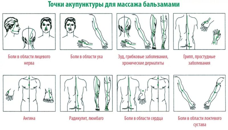 Можно ли применять бальзам Звездочка при беременности